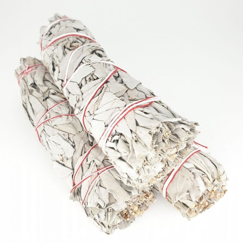 White Sage/Weißer Salbei - Smudges 80-90 gr