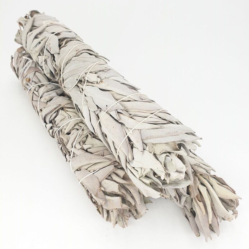 White Sage/Weißer Salbei - Smudges 50-60 gr