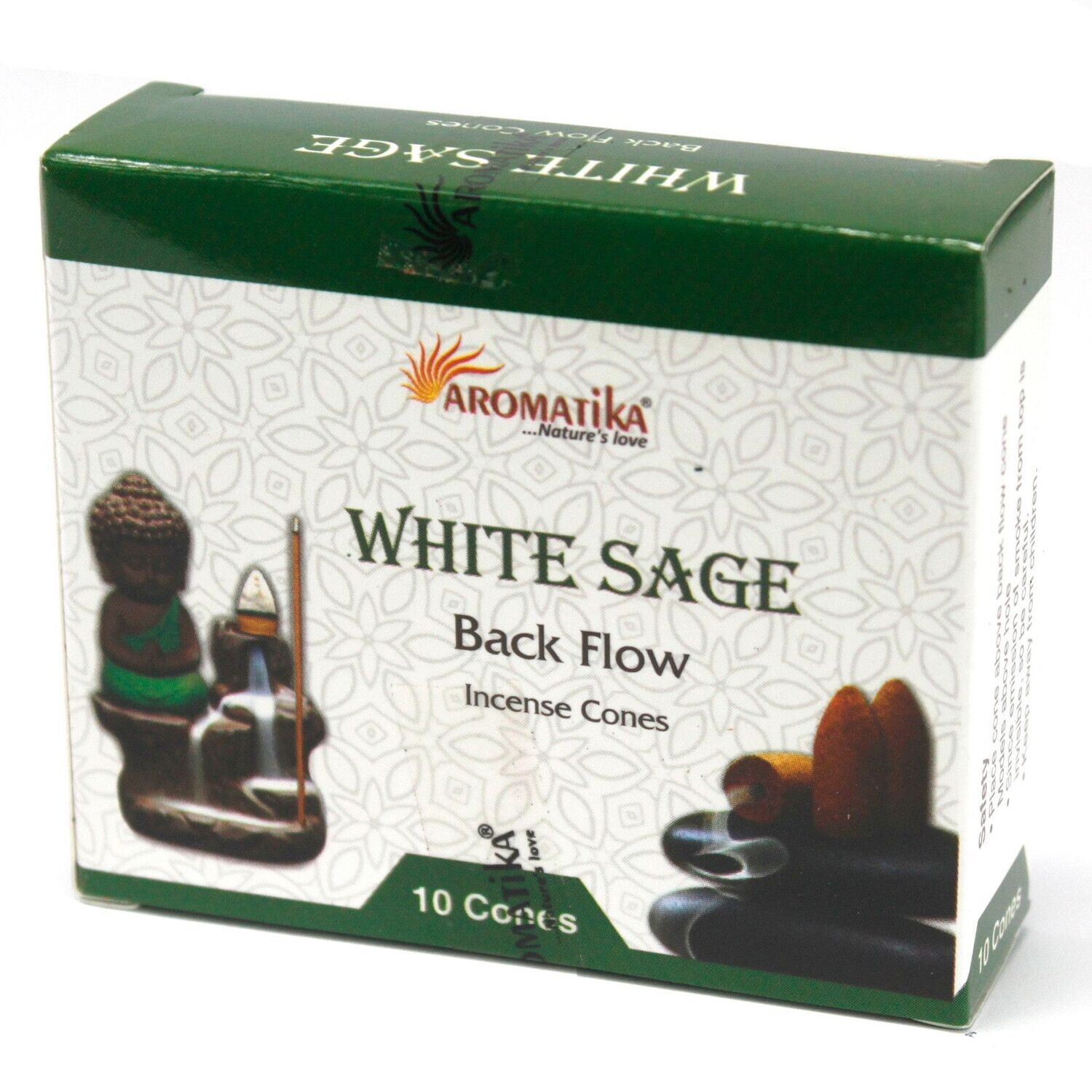 White Sage/Weißer Salbei - 10 Rückfluss-Kegel