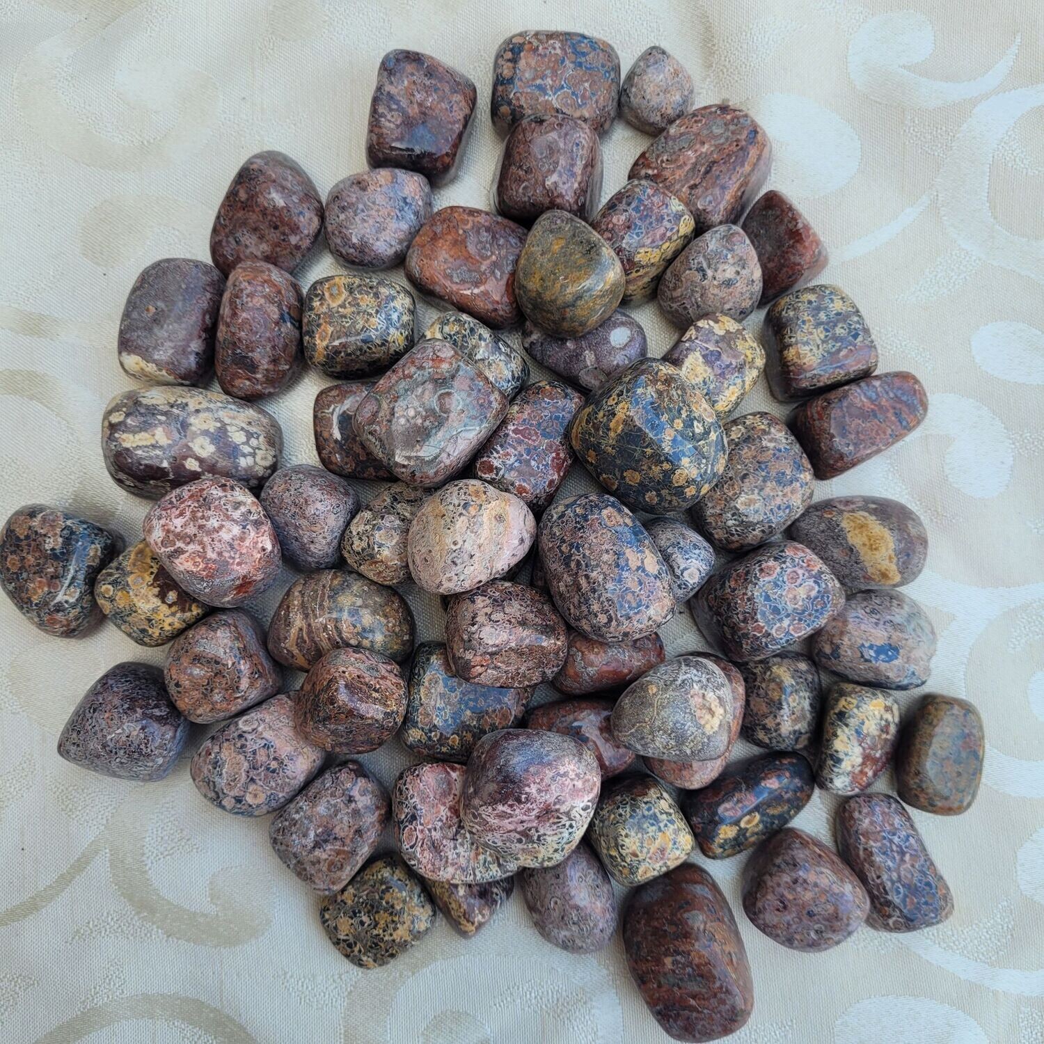 ​Trommelstein Leoparden Jaspis - 2 bis 3 cm