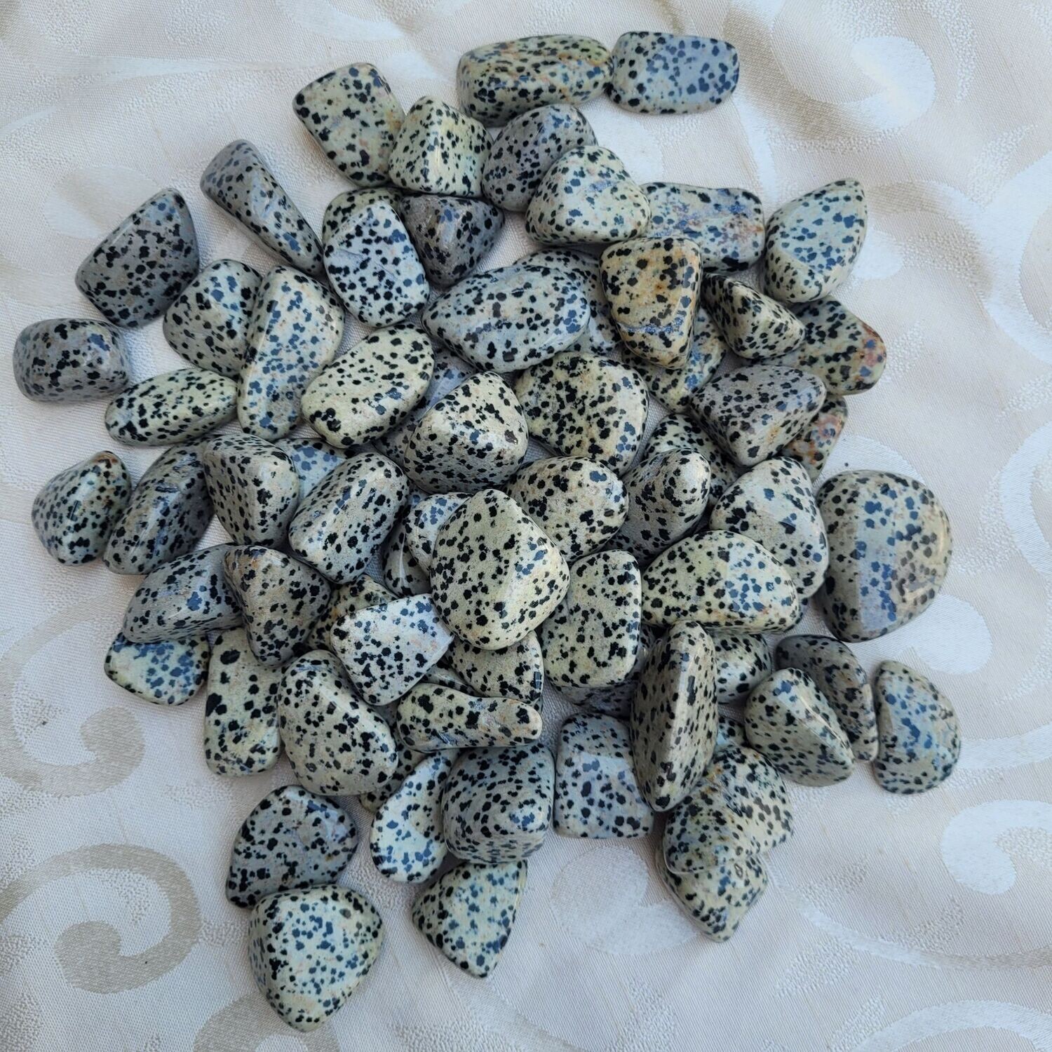 ​Trommelstein Dalmatiner Jaspis - 2,5 bis 3,5 cm