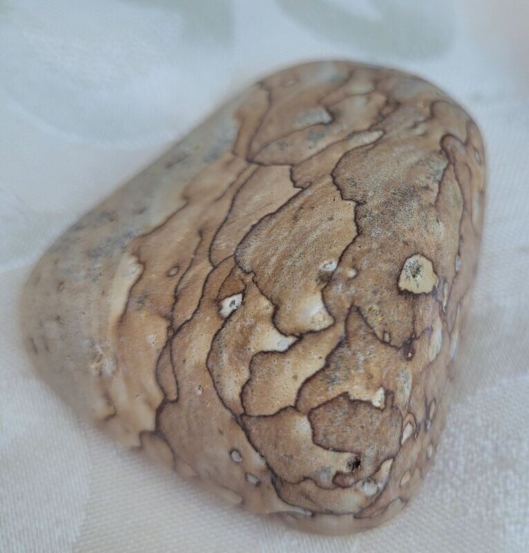 Trommelstein Landschaftsjaspis - 5,2 cm