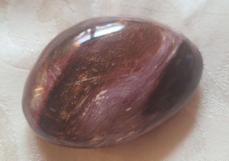 ​Trommelstein versteinertes Holz - 6,6 cm