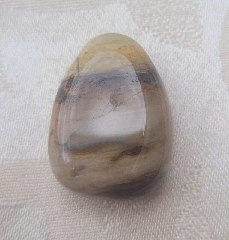 Versteinertes Holz - 2,5 mm gebohrt