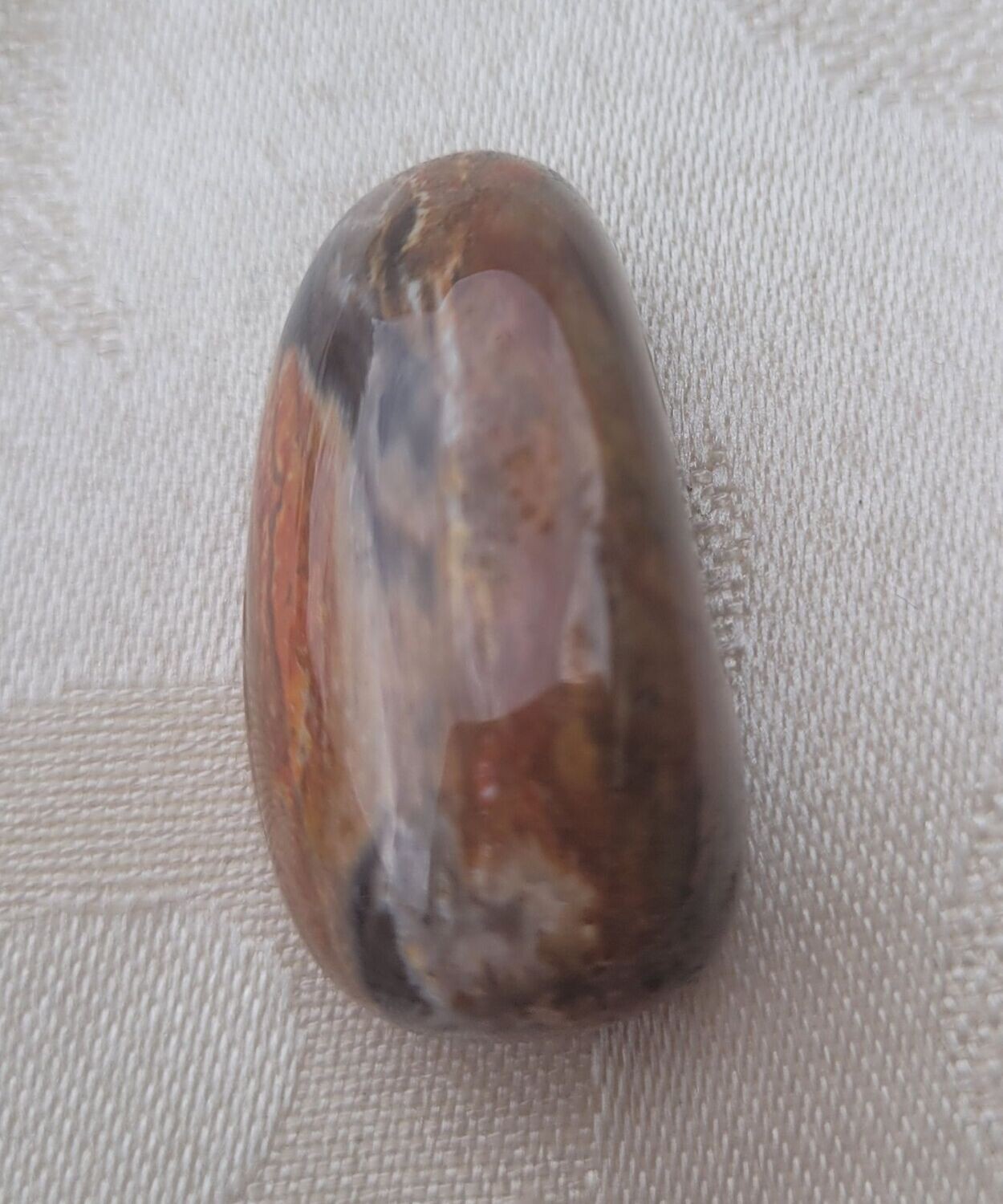 ​Versteinertes Holz - 2,5 mm gebohrt