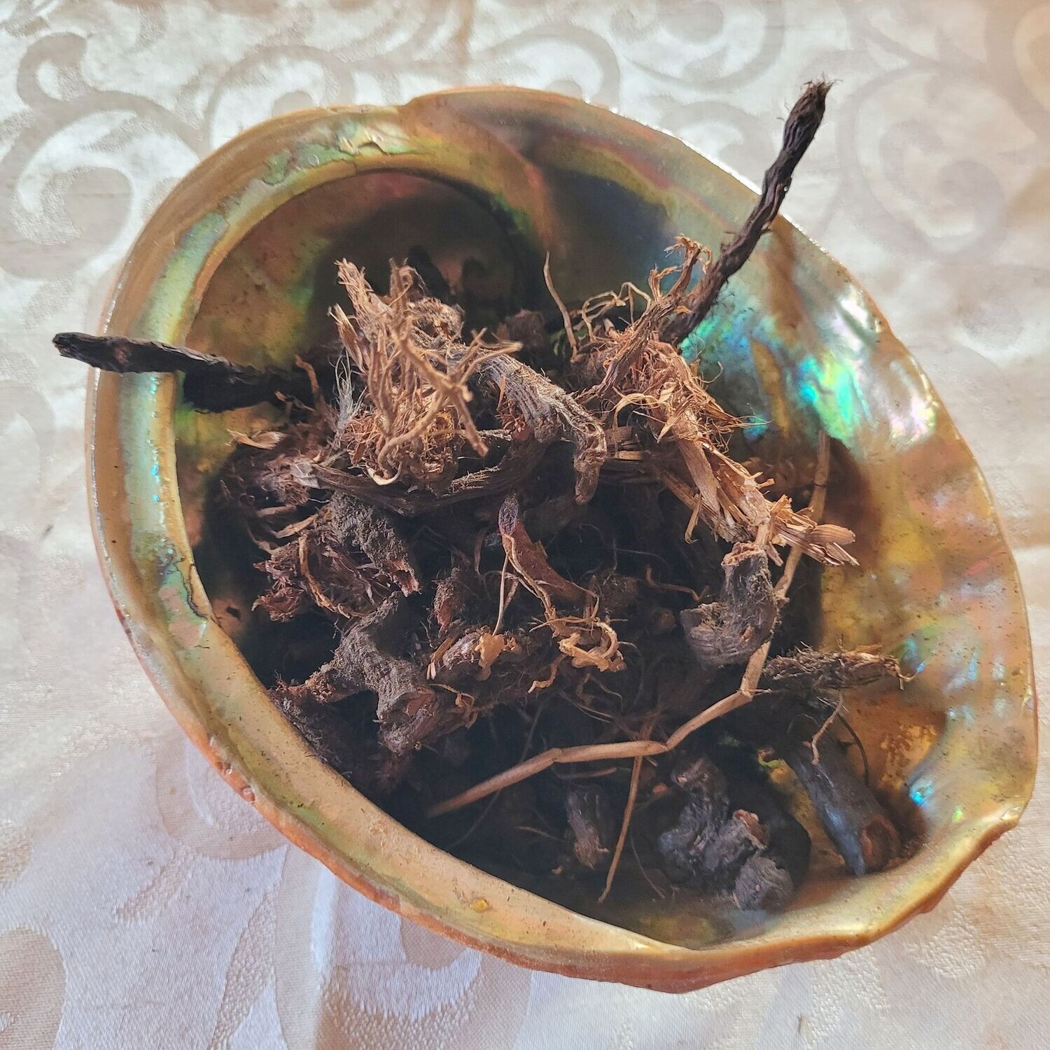 Cyperus (Zyperngras Wurzelknollen) - 100 gr