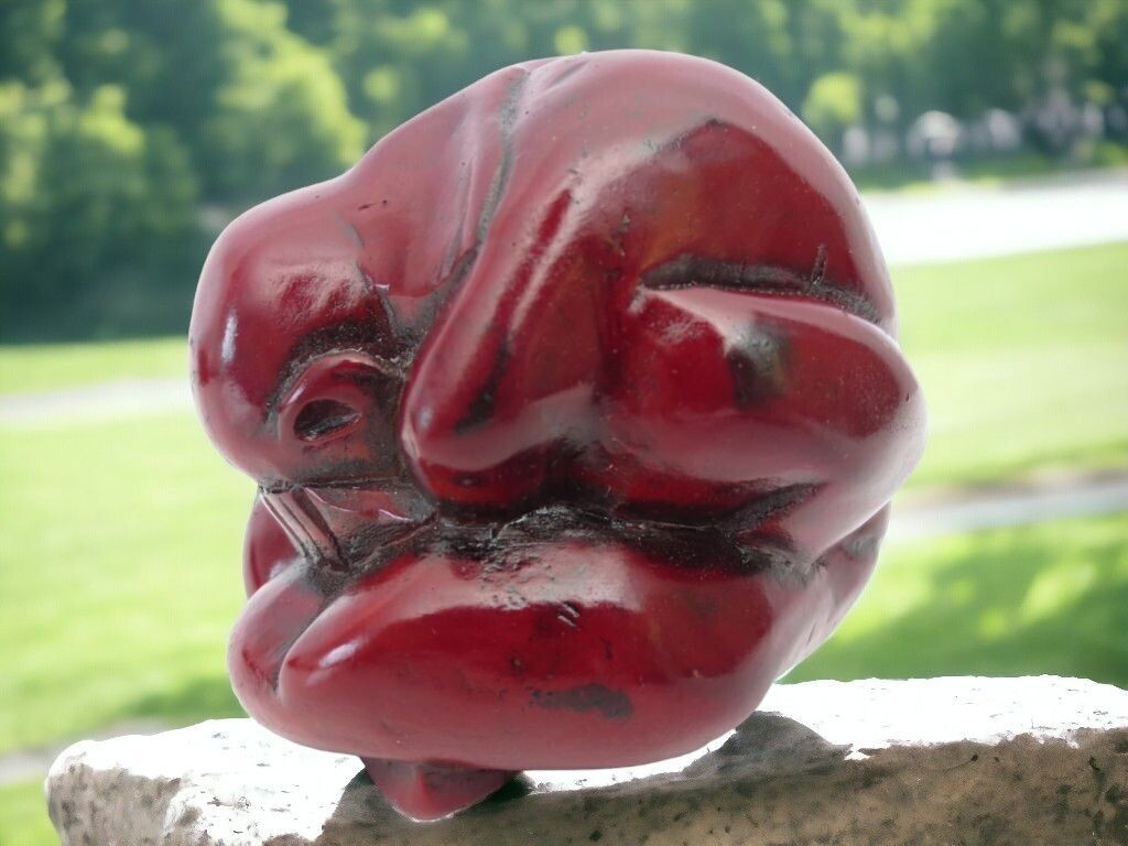 Yogiman in rot