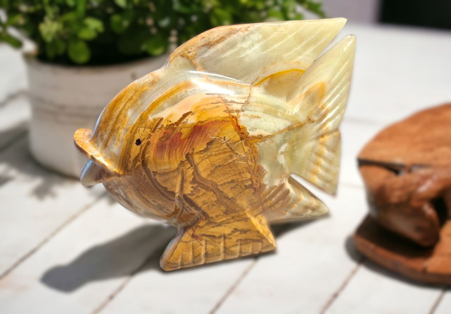 Großer Fisch aus Aragonit