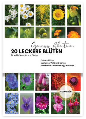 20 leckere Blüten aus Wiese, Wald und Garten (E-Book/PDF)