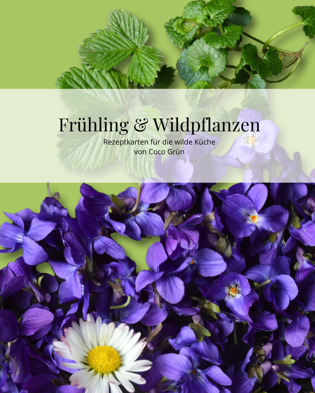 Rezeptkarten-Set: Frühling & Wildpflanzen (Print) Rezeptkarten-Set: Frühling & Wildpflanzen (Print)