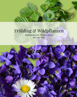 Rezeptkarten-Set: Frühling & Wildpflanzen