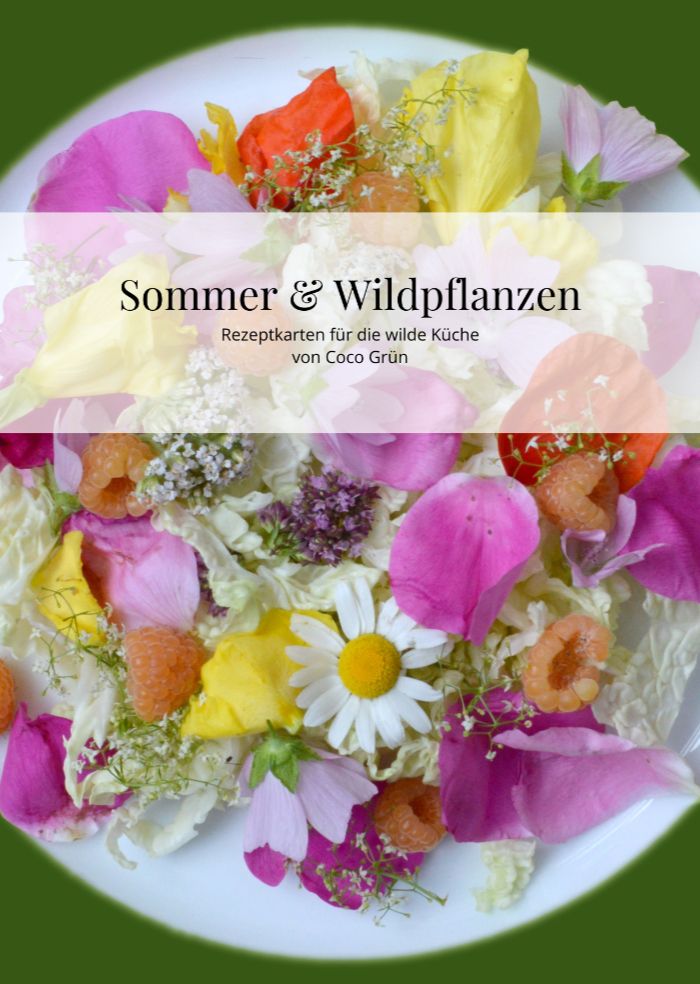 Rezeptkarten-Set: Sommer & Wildpflanzen (Print) + großer Sammelbeutel Rezeptkarten-Set: Sommer & Wildpflanzen (Print) + großer Sammelbeutel