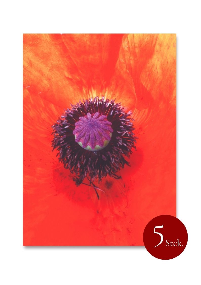 5 x Postkarten 5 x Postkarten "Klatschmohn"