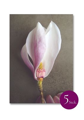 5 x Postkarten "Magnolie"