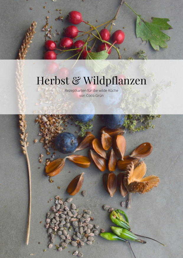 Rezeptkarten-Set: Herbst & Wildpflanzen (Print) + 3 kleine Umschläge zum Samensammeln Rezeptkarten-Set: Herbst & Wildpflanzen (Print) + 3 kleine Umschläge zum Samensammeln