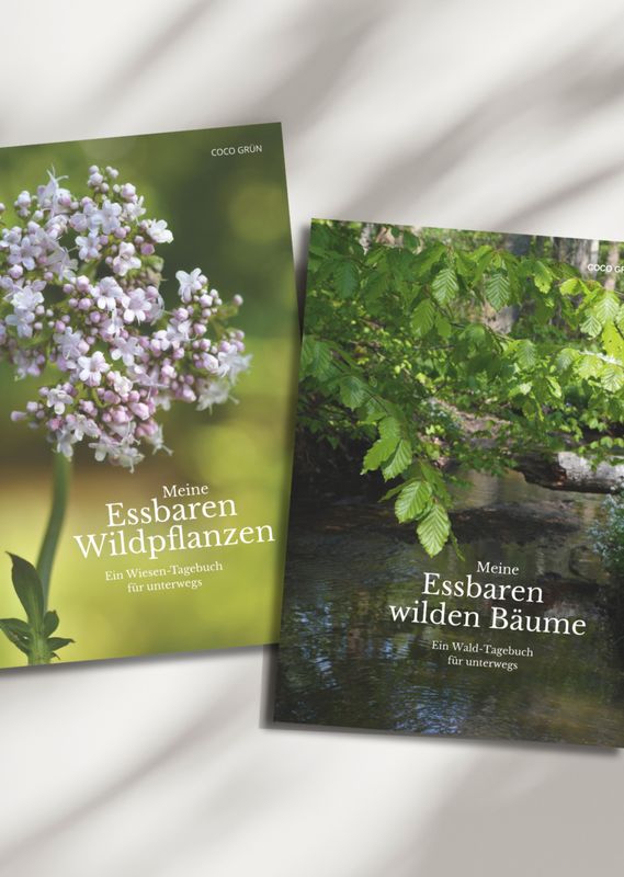 Tagebuch Bundle