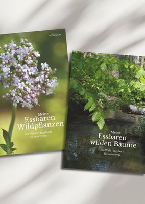 Tagebuch Bundle