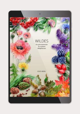 Jahres-Sammelkalender für Wildpflanzen Jahres-Sammelkalender für Wildpflanzen