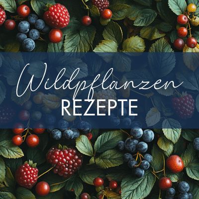 Rezepte mit Wildpflanzen