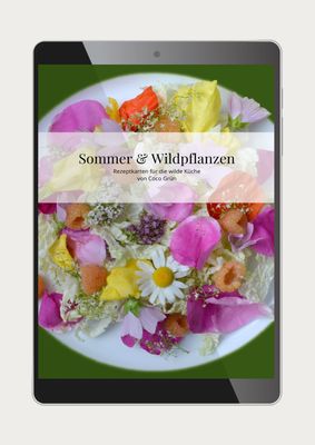 40 leckere Rezepte: Sommer & Wildpflanzen (PDF)