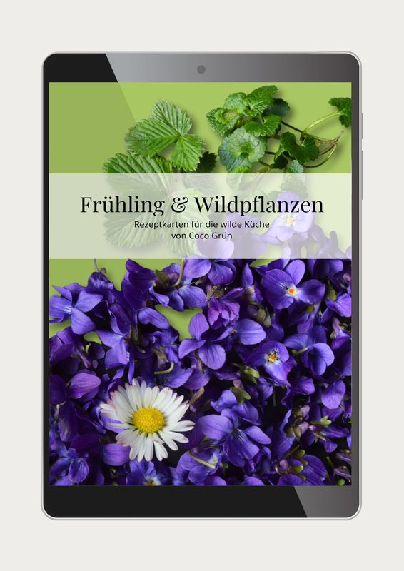 33 leckere Rezepte: Frühling & Wildpflanzen (PDF)