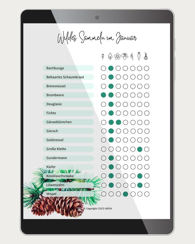 Sammelkalender für essbare Wildpflanzen