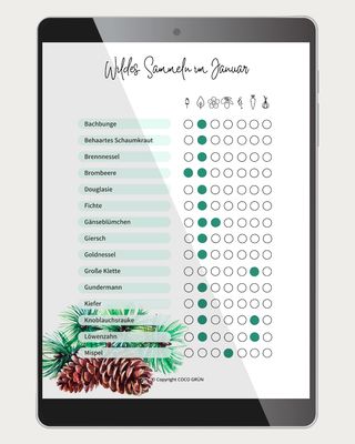 Sammelkalender für essbare Wildpflanzen