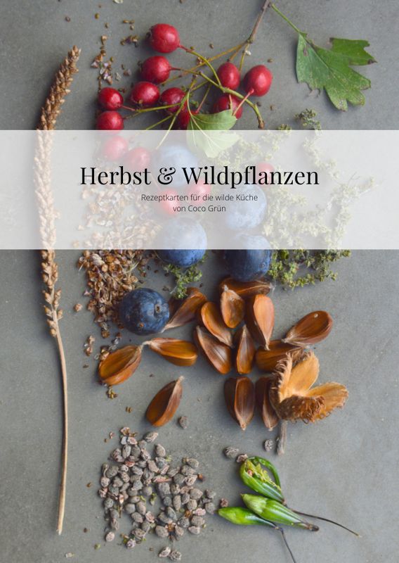 Rezeptkarten-Set: Herbst & Wildpflanzen (Print) + 3 kleine Umschläge zum Samensammeln