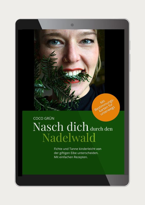 Nasch dich durch den Nadelwald (E-Book/PDF)