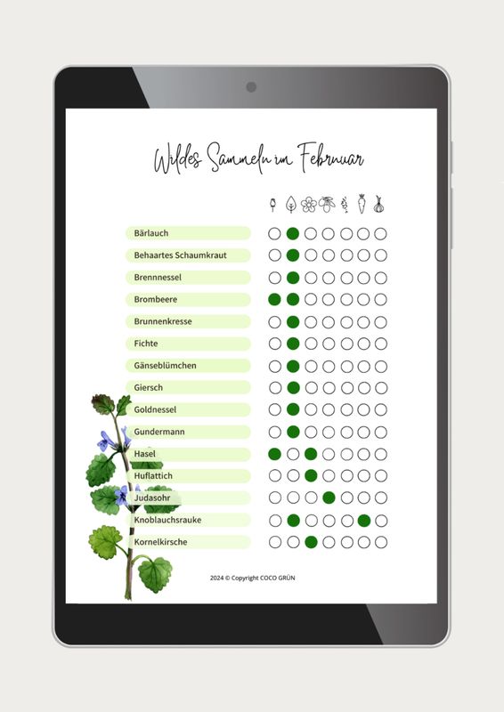 Sammelkalender für essbare Wildpflanzen