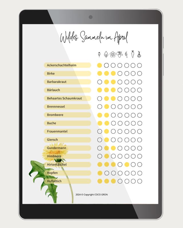 Sammelkalender für essbare Wildpflanzen
