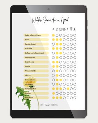 Sammelkalender für essbare Wildpflanzen