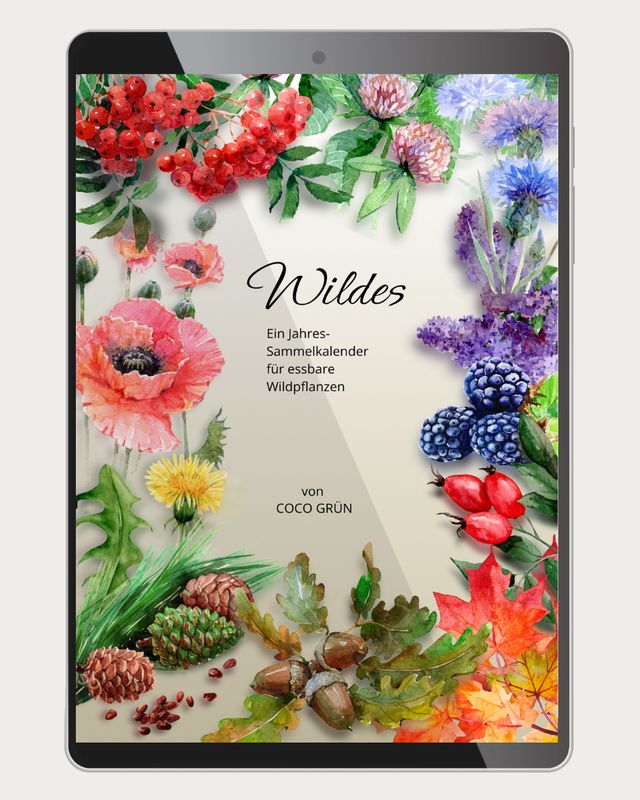 Jahres-Sammelkalender für Wildpflanzen
