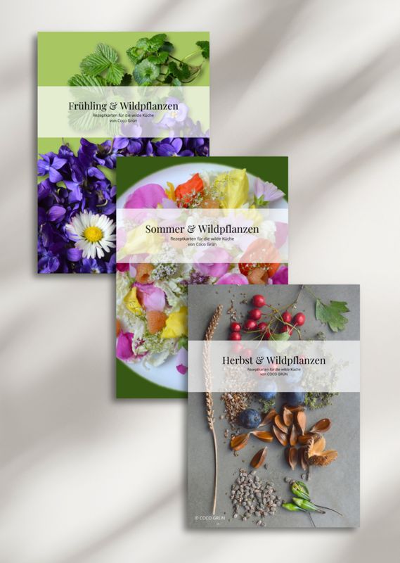 Rezeptkarten-Bundle: Wildpflanzen im Frühling, Sommer & Herbst