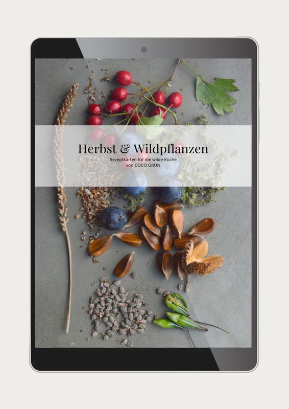 34 leckere Rezepte: Herbst & Wildpflanzen (PDF)