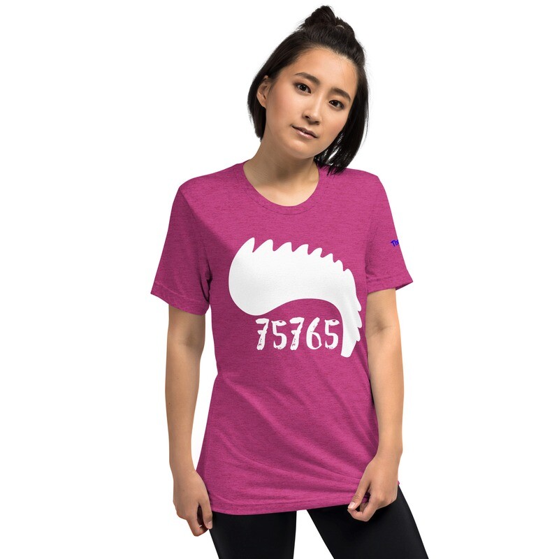 (Mo) Hawk Pride Unisex Tri-Blend Tee 