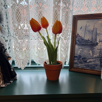 •FLORAL• Orange Tulips in Wooden Base