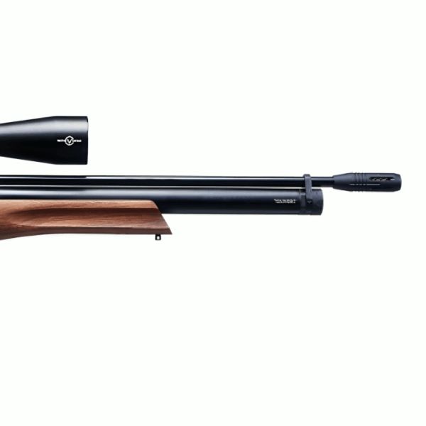 REXIMEX DAYSTAR NOGAL TURCO 5.5