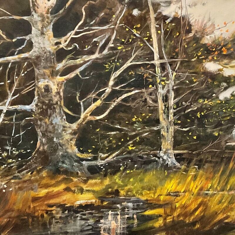 Bog's Edge Original oil on canvas