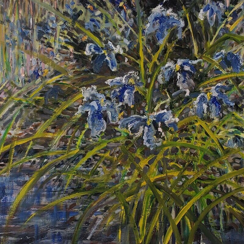 Wild Irises