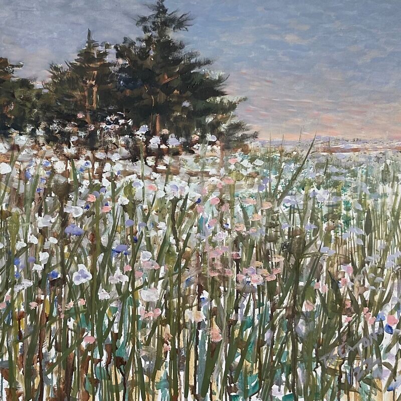Wildflowers