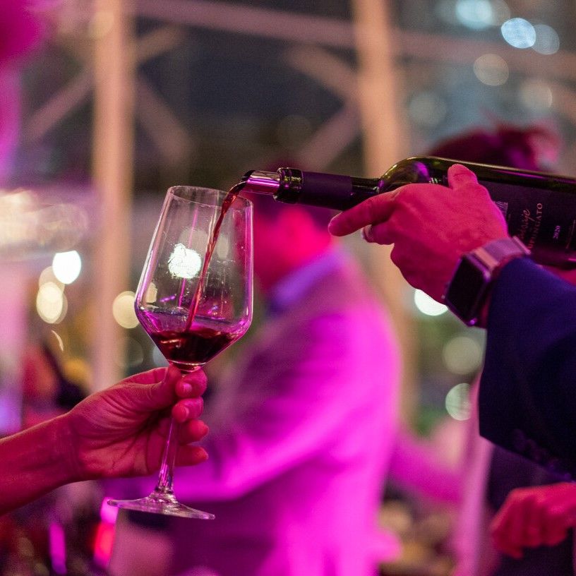 Degustación de Vinos - Bodega Santa Julia - 1ro al 9 de Julio