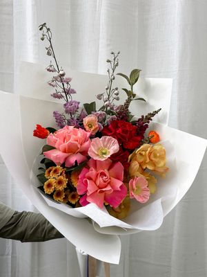 Merchant Girls Choice Bright