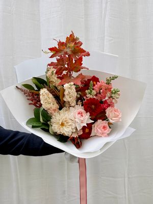 Merchant Girls Choice Soft