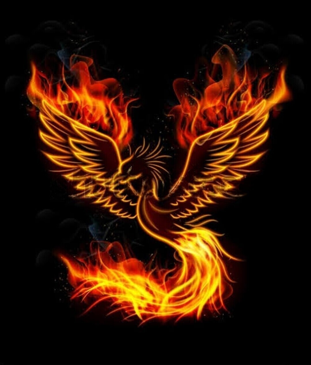 2022-11-26 WENDY &amp; JADE VS FENIX