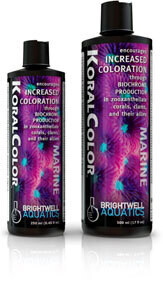 Brightwell Koral Color