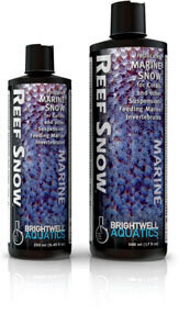 Brightwell Reef Snow