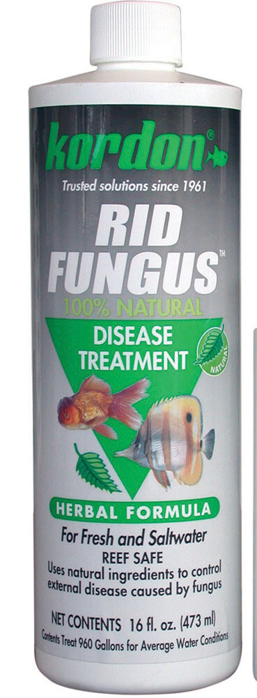 Kordon Rid Fungus, Size: Kordon Rid Fungus 16 oz