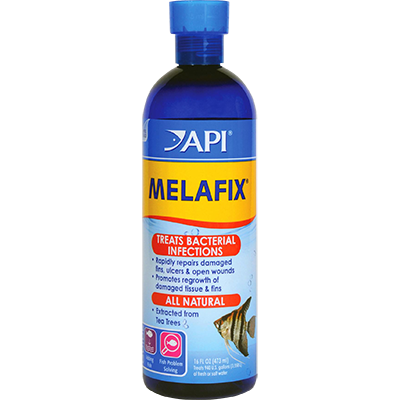 API - Melafix