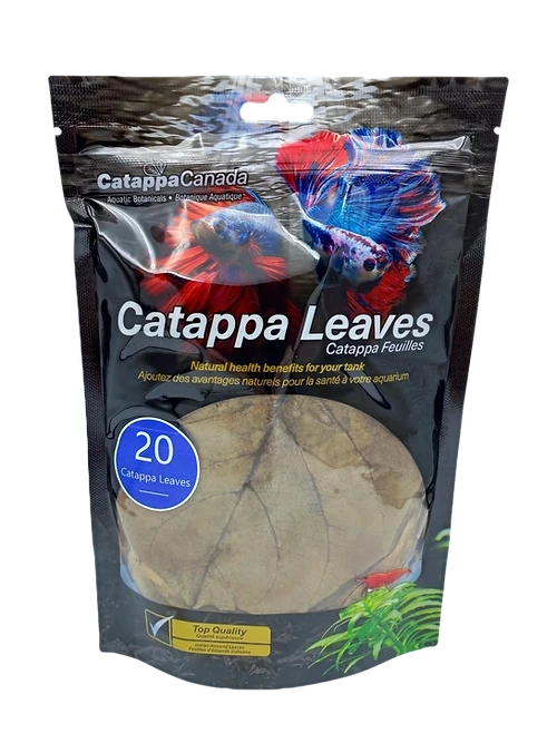Catappa Leaves Regular, Size: Catappa Leaves 20pk Regular